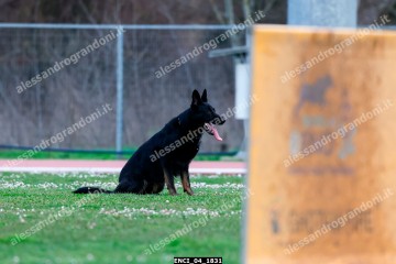 ENCI_04_1831.jpg