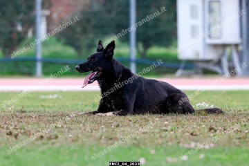 ENCI_04_2023.jpg