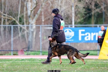 ENCI_04_2073.jpg