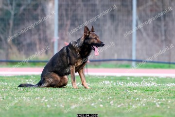 ENCI_04_2098.jpg