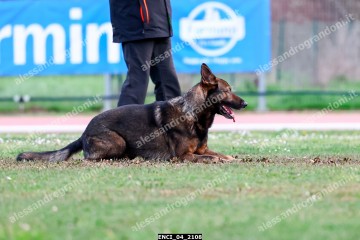 ENCI_04_2108.jpg