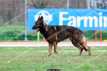ENCI_04_2132.jpg