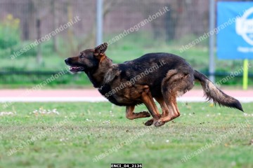ENCI_04_2136.jpg