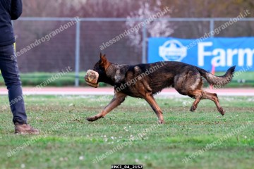 ENCI_04_2157.jpg