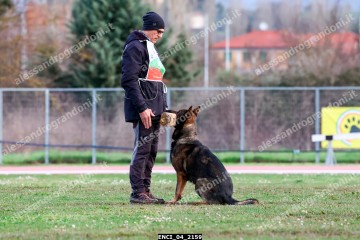 ENCI_04_2159.jpg