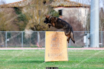 ENCI_04_2165.jpg