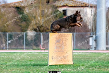 ENCI_04_2180.jpg