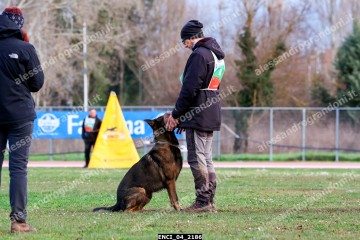 ENCI_04_2186.jpg