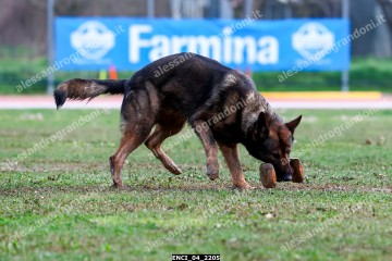 ENCI_04_2205.jpg