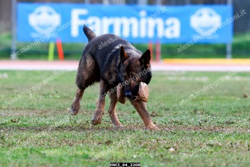 ENCI_04_2208.jpg