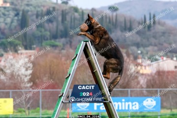 ENCI_04_2216.jpg