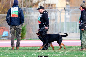 ENCI_04_2259.jpg