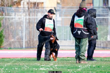 ENCI_04_2262.jpg