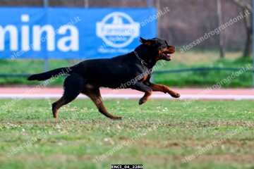 ENCI_04_2280.jpg