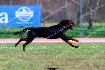 ENCI_04_2281.jpg