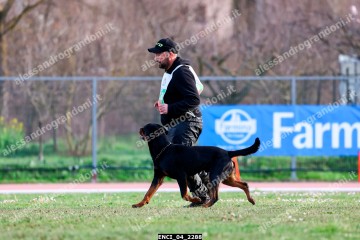 ENCI_04_2288.jpg