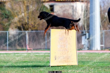 ENCI_04_2351.jpg