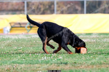 ENCI_04_2360.jpg