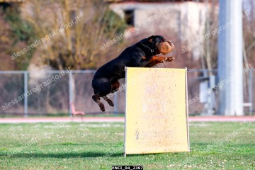ENCI_04_2397.jpg