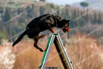 ENCI_04_2423.jpg