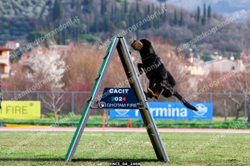 ENCI_04_2468.jpg