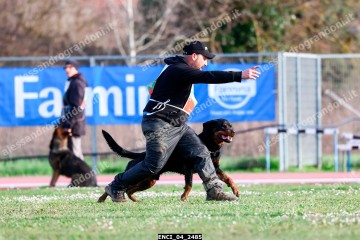ENCI_04_2485.jpg