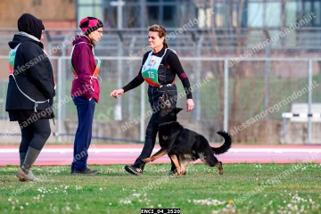 ENCI_04_2520.jpg