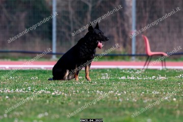 ENCI_04_2527.jpg
