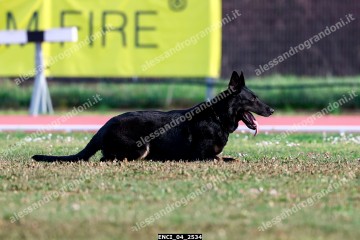 ENCI_04_2534.jpg