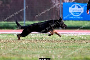 ENCI_04_2537.jpg