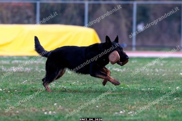 ENCI_04_2629.jpg