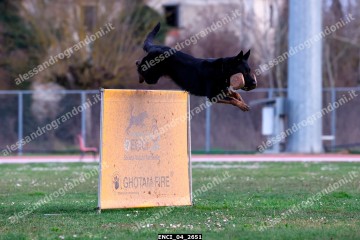 ENCI_04_2651.jpg
