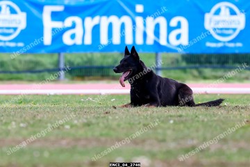 ENCI_04_2746.jpg