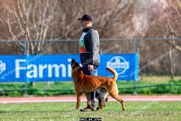 ENCI_04_2764.jpg