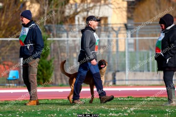 ENCI_04_2773.jpg