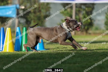 IMG_2642.jpg
