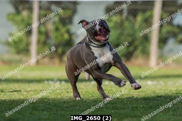 IMG_2650 (2).jpg
