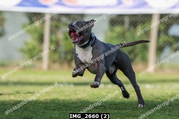 IMG_2660 (2).jpg