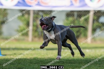 IMG_2661 (2).jpg