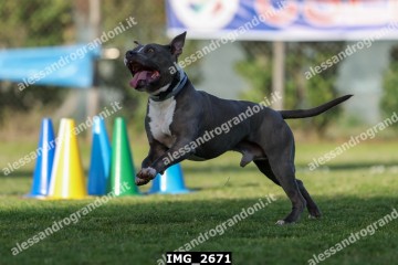 IMG_2671.jpg