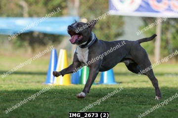 IMG_2673 (2).jpg