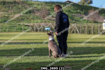 IMG_2695 (2).jpg