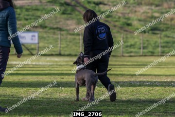 IMG_2706.jpg