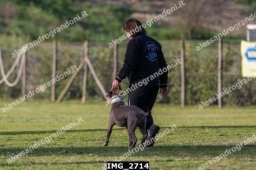 IMG_2714.jpg