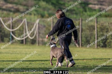 IMG_2719 (2).jpg