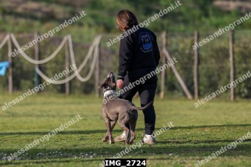 IMG_2724.jpg