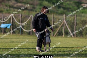 IMG_2733 (2).jpg