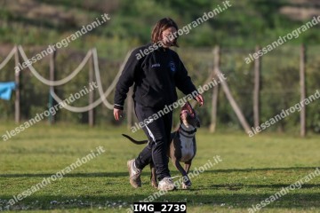 IMG_2739.jpg