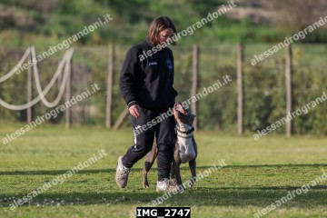 IMG_2747.jpg