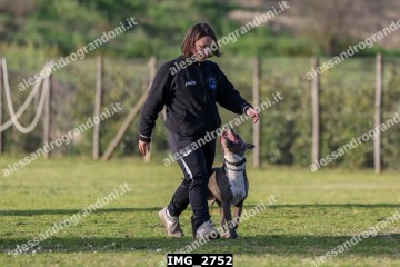 IMG_2752.jpg